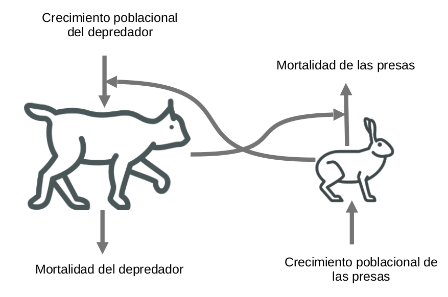 Modelo diagramático basado en el modelo matemático depredador-presa de Lotka-Volterra