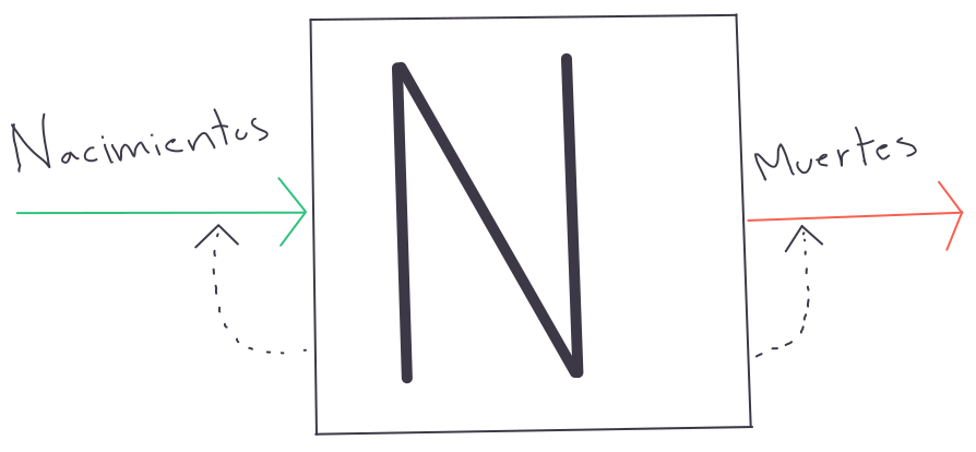 Esquema representativo del modelo de crecimiento malthusiano como flujo de nacimientos y muertes.